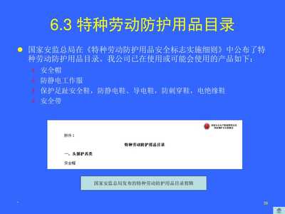 个人劳动防护用品的使用和维护安全培训（1）——特种劳动防护用品销售与服务
